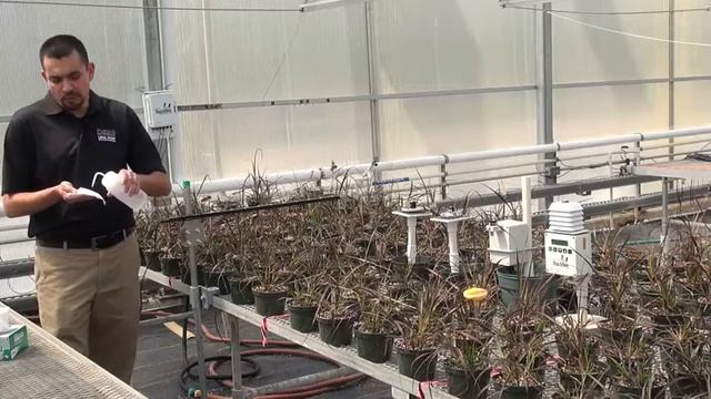 Measuring Light in the Greenhouse смотреть онлайн