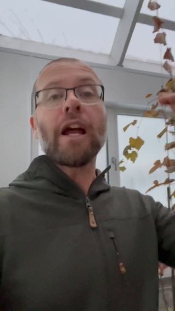 How I keep my greenhouse from freezing with very little heat inputs. смотреть онлайн
