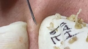 Enjoy Every Day With The Best Video Loan Nguyen Spa Official  2698