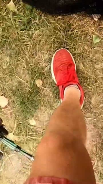 Карась дуреет от этой прикормки #shorts смотреть онлайн