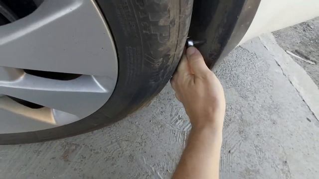 Экспериментальная жизнь