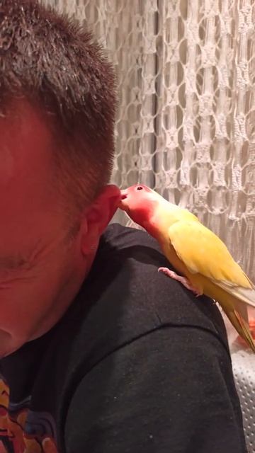 Бесплатный пирсинг🤣🤣🤣. смотреть онлайн