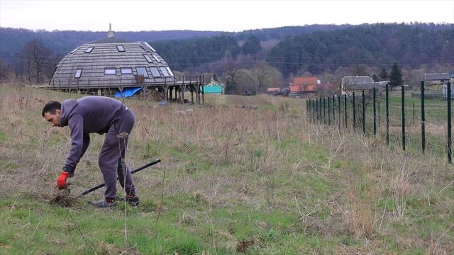#2 Розсаджую фундук та чищу жимолость смотреть онлайн