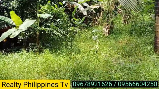 156 katamtamang sukat 1.08 Hectare / 350 per sqm near tanay town proper смотреть онлайн