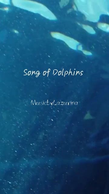 Song of Dolphings #relaxmusic #фортепиано #музыкадлядуши #dreammusic #pianosolo #pianomusic смотреть онлайн