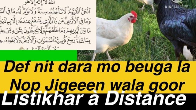 Def Nit dara mo beug la Nop Jigeeen wala goor mo beug la 778617761 смотреть онлайн