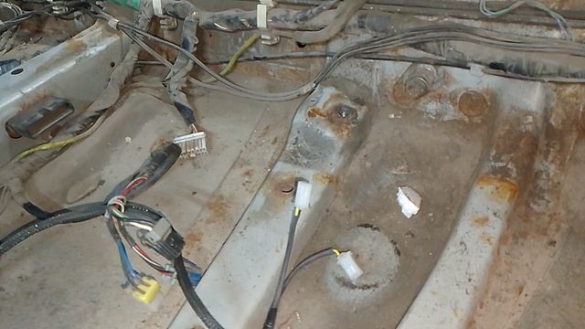 Роки Из Попы