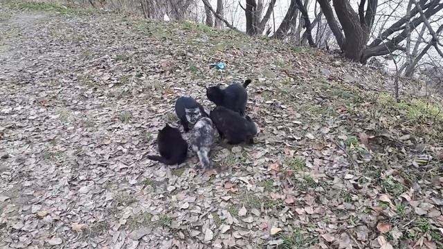 Дешевизна 31 декабря-большой миф.... смотреть онлайн