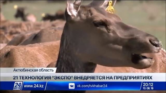Выпуск новостей 20:00 от 10.08.2018 смотреть онлайн