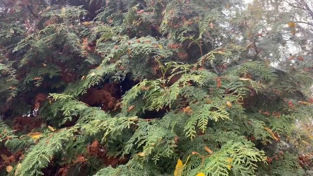 ВРЕМЯ ПЕРЕМЕН! 💞💞💞 смотреть онлайн