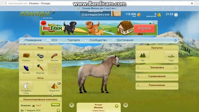 Разведение фьордиков♡ смотреть онлайн