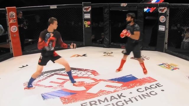 ТУРНИР В ЛИГЕ EFC смотреть онлайн