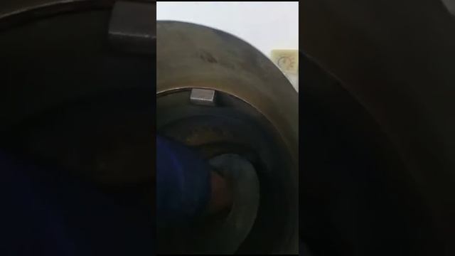 Звезды университета