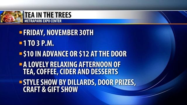 Festival of Trees on Montana This Morning смотреть онлайн