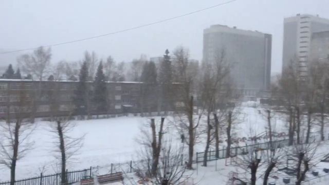 22 ноября 2021 г. Барнаул Заваливает снегом Непогода Штормовое предупреждение на 22. и 23.11.2021 смотреть онлайн