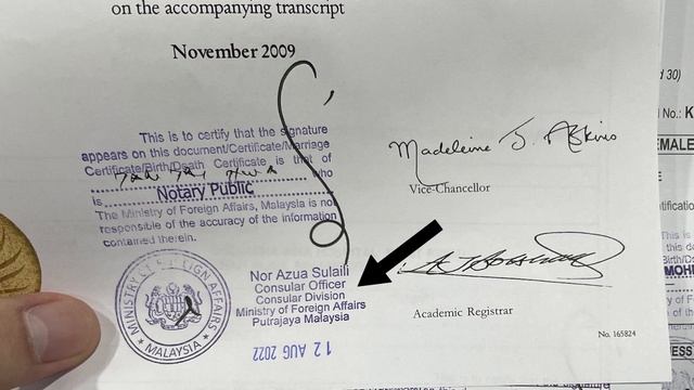 Spain Work Visa ▸ Application Guide & Tips for Malaysians смотреть онлайн