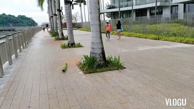 part 1 Labrador park Singapore смотреть онлайн