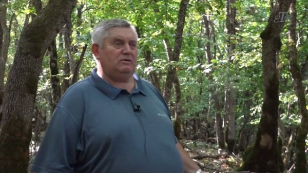 В томузловском лесу с А  Ряженцевым