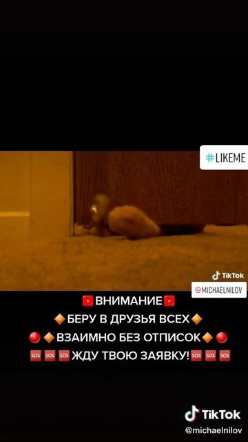 7b69dae2b877e5a424b0276ec82f117b_1737736379557.mp4 смотреть онлайн