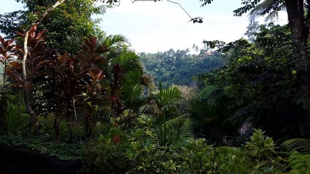 Royal Pita Maha Ubud Bali смотреть онлайн