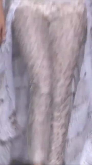 FASHION SHOW Kendall Jenner VS Bella Hadid #shorts смотреть онлайн