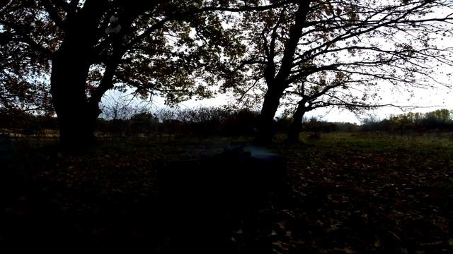 поехали на щуку! смотреть онлайн