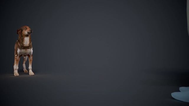 Dog keyframe animation. Вежливая собака рада встрече. смотреть онлайн