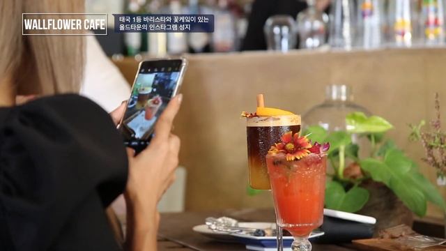 Bangkok City/끈적끈적 방콕의 차이나타운 /미슐랭원스타Jay fai/wallflower cafe/The mustang Blu/랜선여행 смотреть онлайн