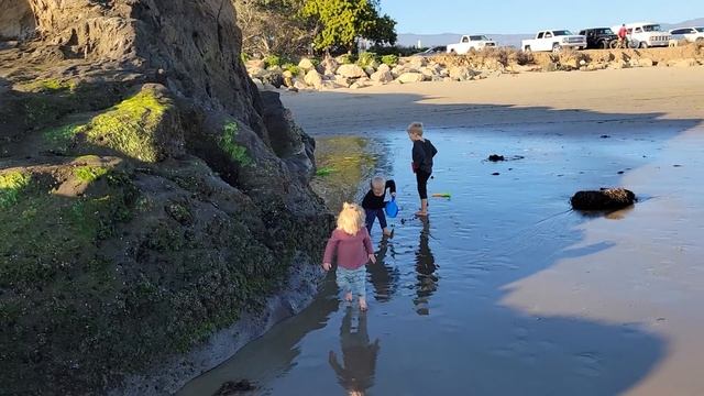 12/4/2021 Goleta Beach смотреть онлайн