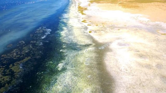 mi drone amazing flight side flamingos in strimona смотреть онлайн