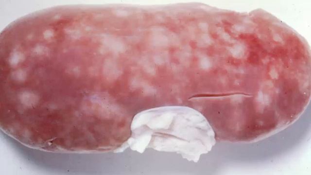 Gross Pathology of the Urinary System of Swine смотреть онлайн