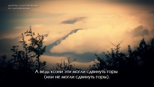Мухаммад аль-Люхайдан | Сура 14 «Ибрахим» 42-52//📚‼️ смотреть онлайн