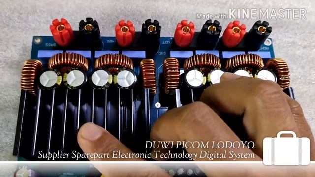 Power Class D TAS5630 300w + 300w + 600w Subwoofer Digital Audio Amplifier PICOM LODOYO Blitar смотреть онлайн