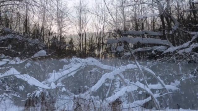 12 - 17 января 2022 "Пожар" в лесу. На полную громкость смотреть онлайн