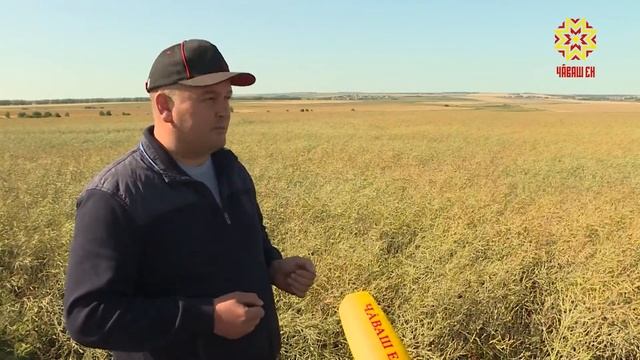 Елчĕксем рапспа кăмăллă смотреть онлайн