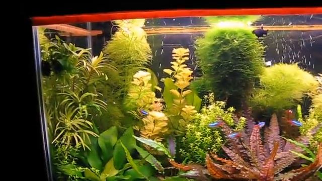 мои 100 л смотреть онлайн