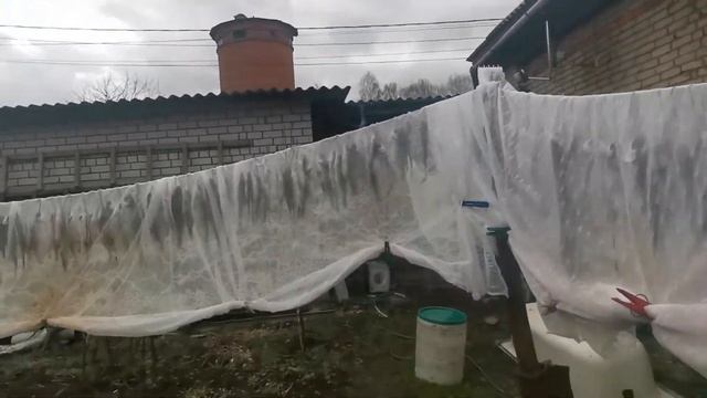 Вобла 26.04.2022. смотреть онлайн
