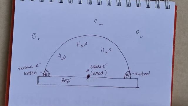 Redoks 27- pengaratan besi sebagai t/b redoks смотреть онлайн