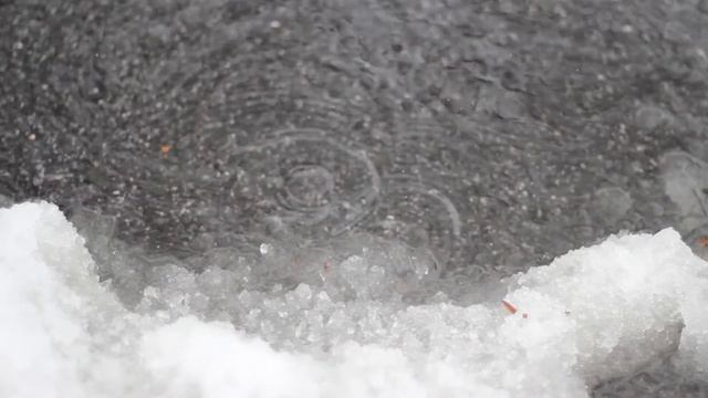 Canon T3i DSLR Test Footage with Olympus 50 mm Zuiko Lens смотреть онлайн
