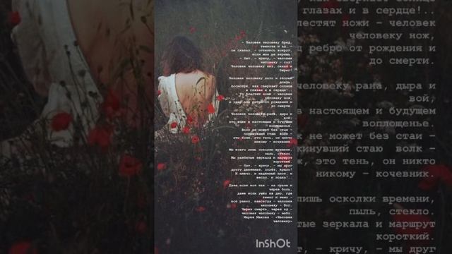 Сильные строки🤎 "Человек человеку" ©️Мария Махова смотреть онлайн