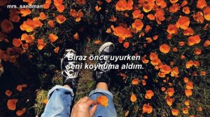 Pinhani- Beni Al (Lyrics)