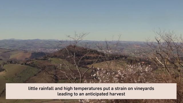 Sangiovese DOC Bertinoro - Vini di Romagna смотреть онлайн