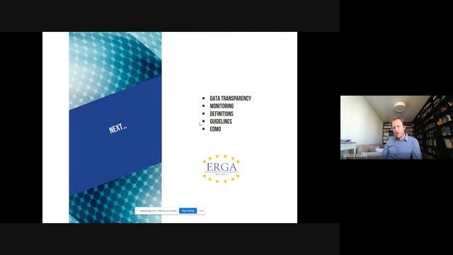 ERGA Presentation - Assessment of the Implementation of the EU Code of Practice on Disinformation смотреть онлайн
