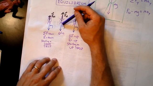 Net Force Causes Acceleration on an Elevator | Newton's 2nd Law Applied | Doc Physics смотреть онлайн