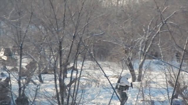 Военно-историческая реконструкция смотреть онлайн