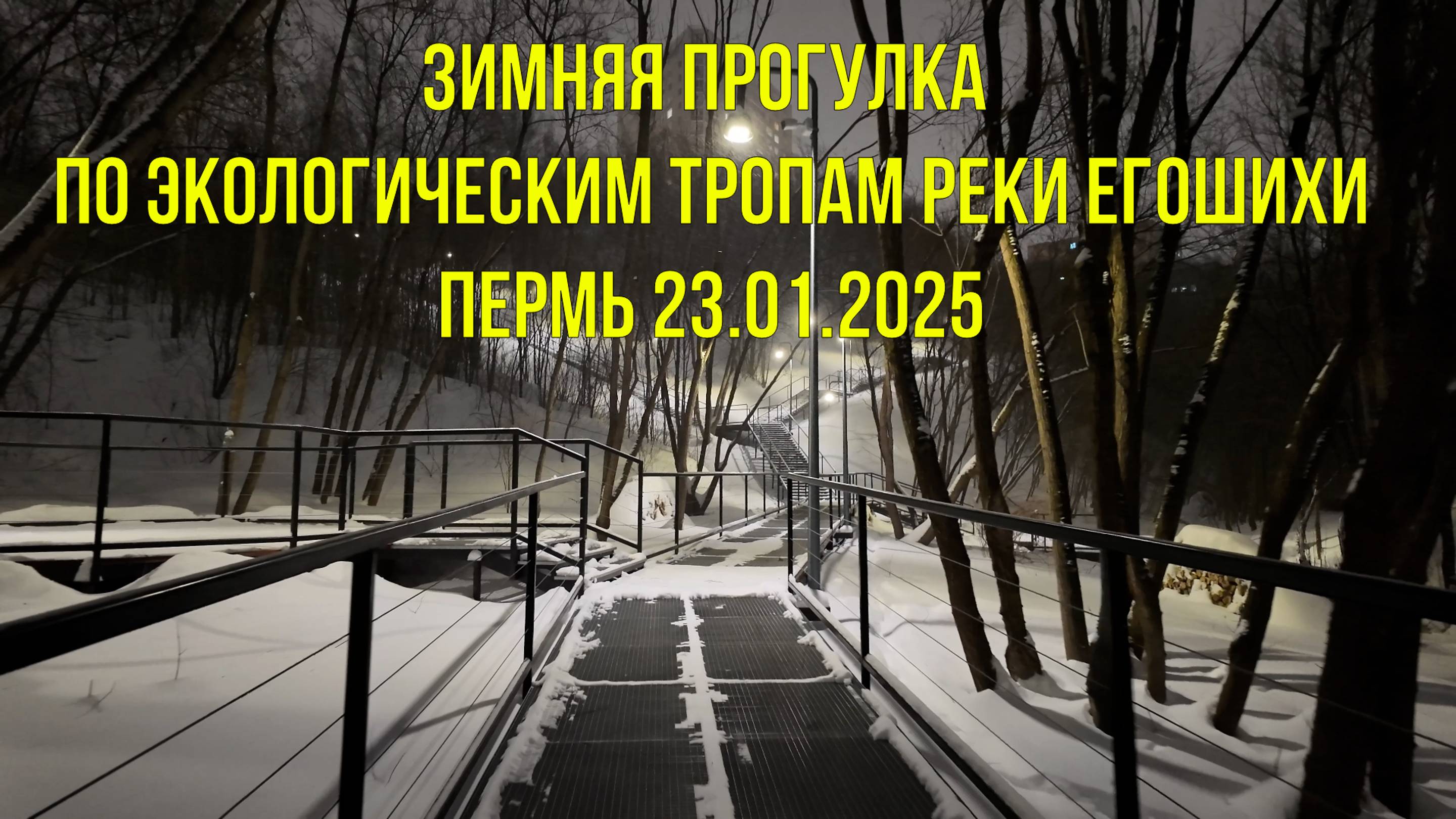 Зимняя ночная прогулка по экологическим тропам реки Егошихи Пермь 23.01.2025