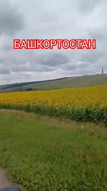 #башкортостан #природа #дорога смотреть онлайн