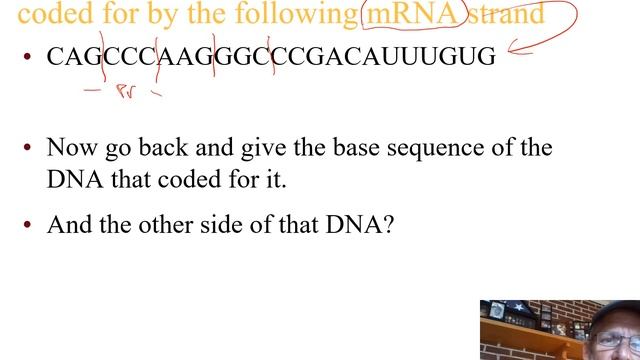 11 DNA & Pr Synth Lecture video Pt 5 смотреть онлайн