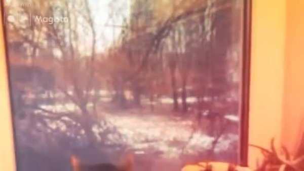 Kitten's Kitchen (Created with @Magisto)