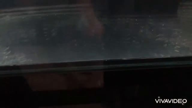 Marine Tank testing for leakage смотреть онлайн